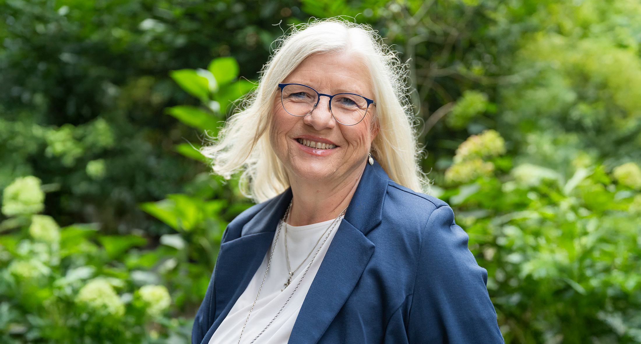 Bild eines Ammoniten