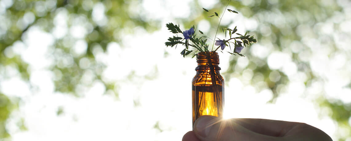 Braunglasfläschchen mit Kräutern im Gegenlicht